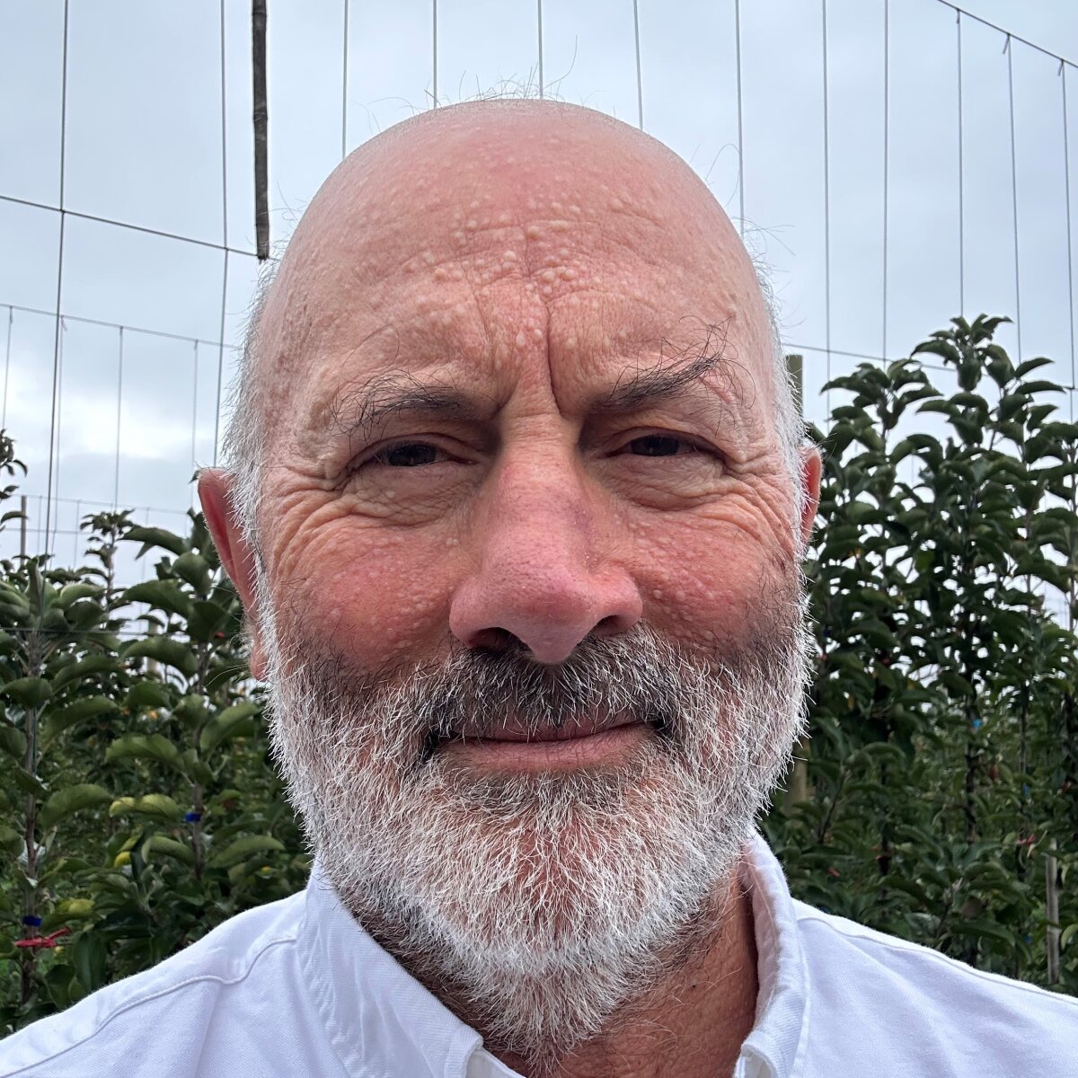 Mauricio Frias Giaconi