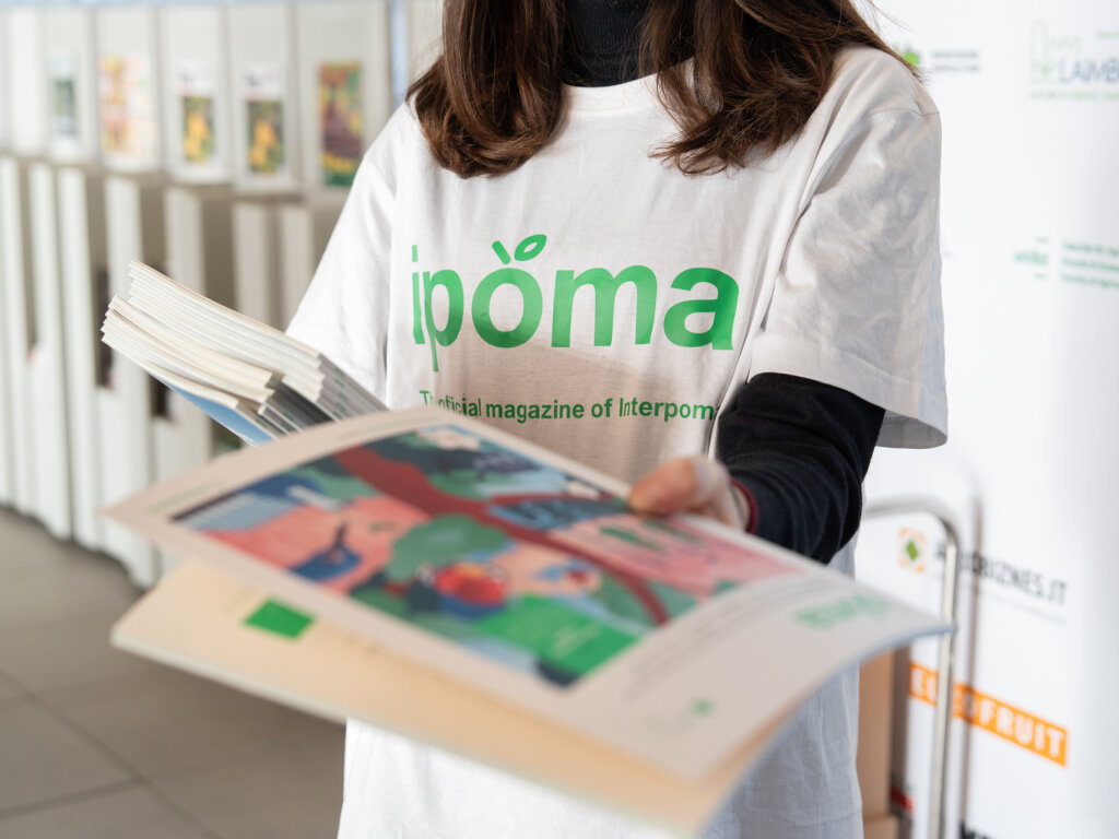 Scopri le ultime novità 