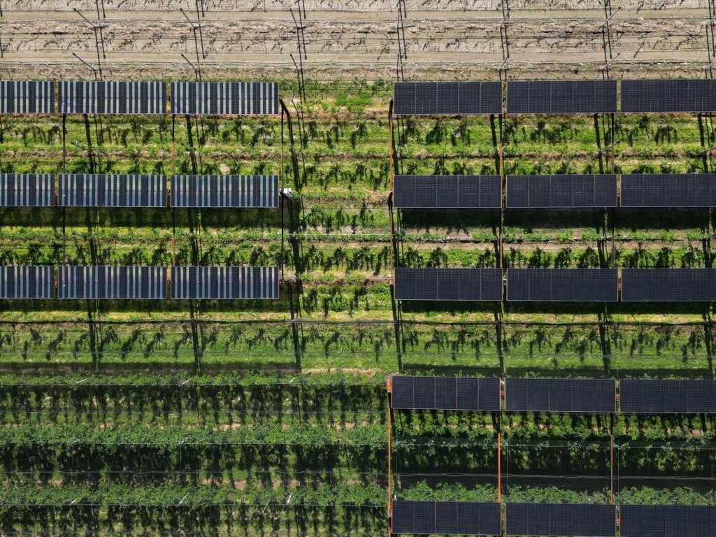 Agrivoltaics in Fruit Growing: Five Lessons from Nearly 20 Years of Research